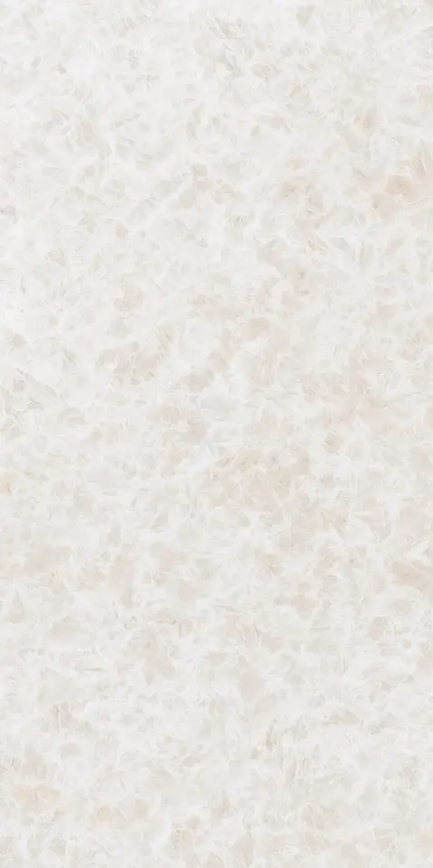BARBITE CREMA CONV view 2